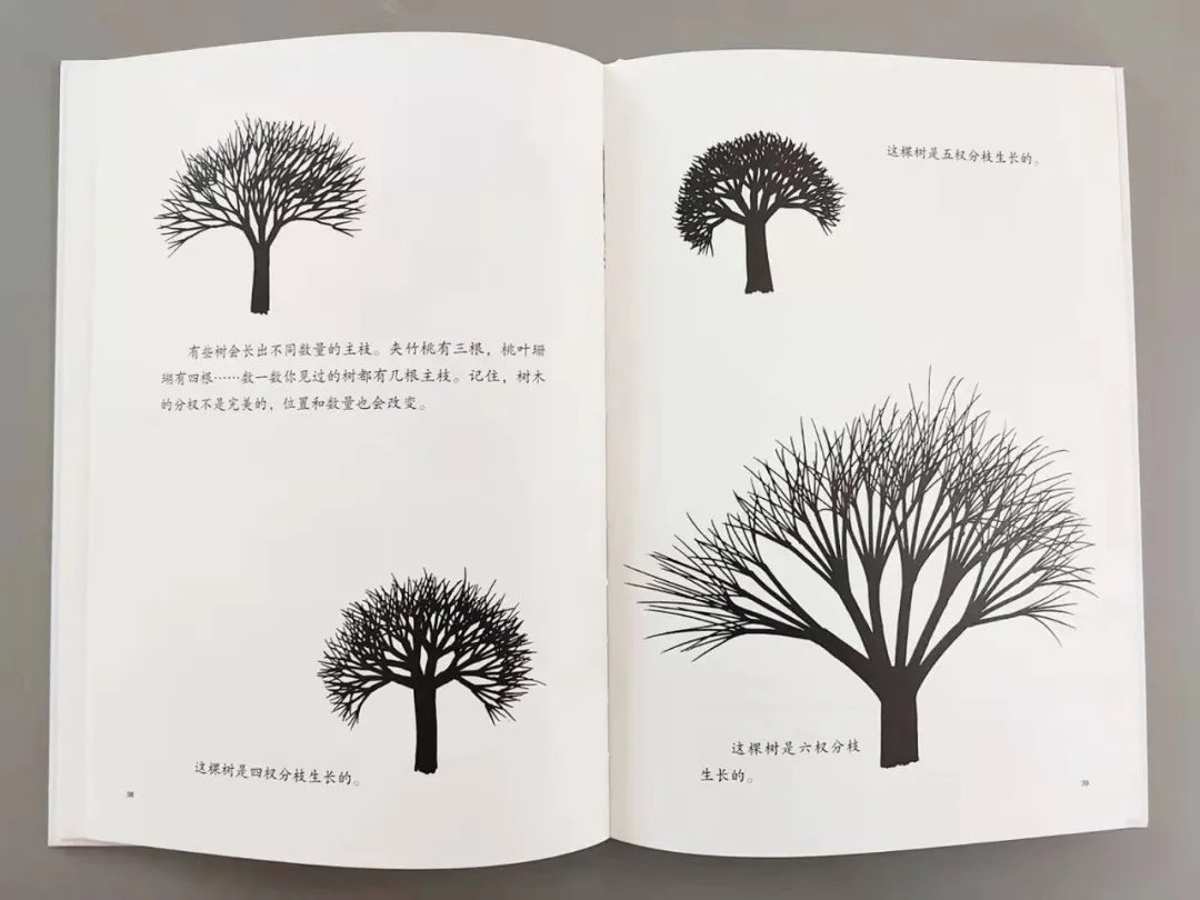 学画画零基础先学什么学画太阳,怎么画最简单的太阳和大树