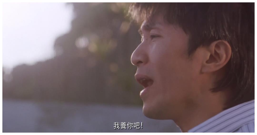 猫咪买什么品种的最好,宠物猫怎么挑选好的猫粮呢