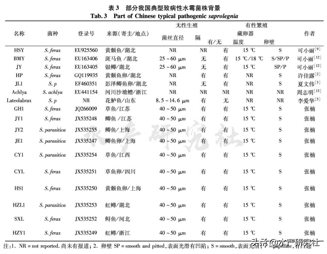 并不是所有的水霉菌都是有害的，您知道有害的有哪几种吗？