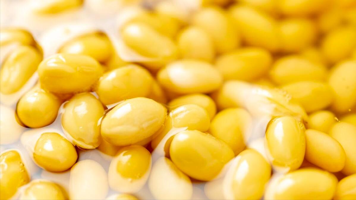 三伏天出汗多要补钾多吃8道菜,夏季出汗多吃什么能安全补钾