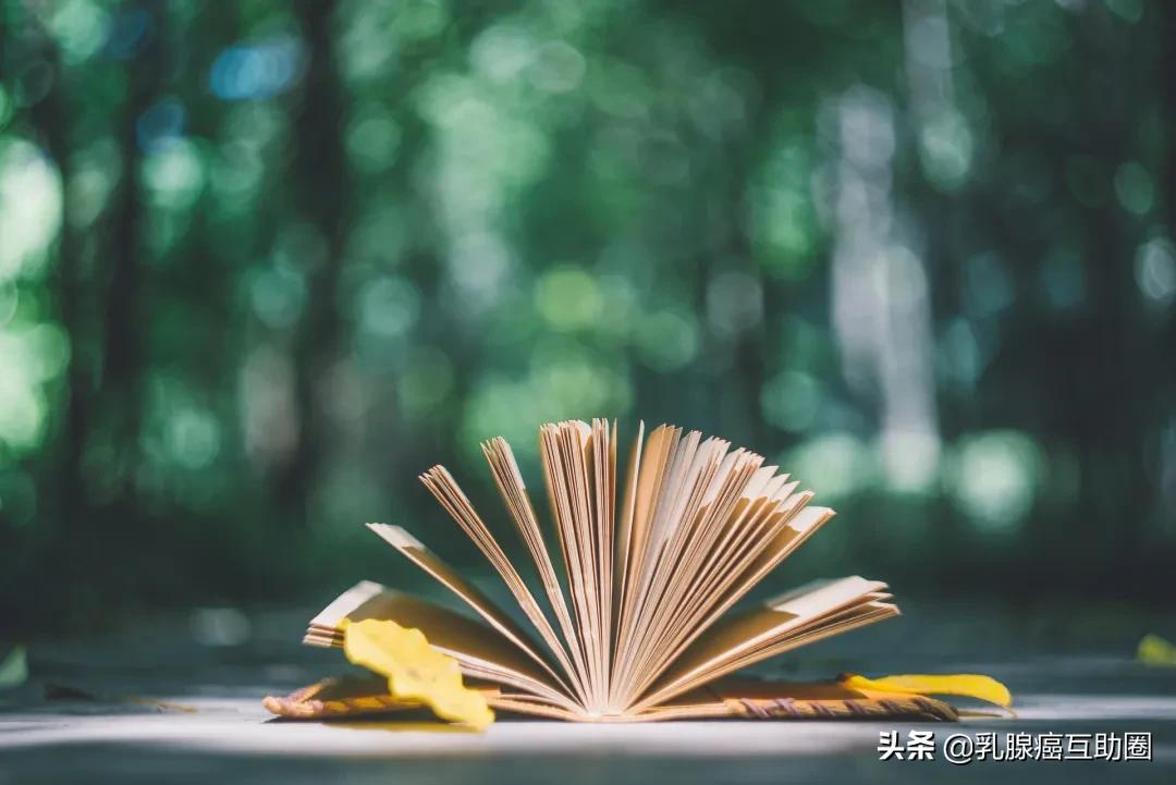 确诊乳腺癌的我该怎么生活下去,乳腺癌确诊后最担忧的是什么