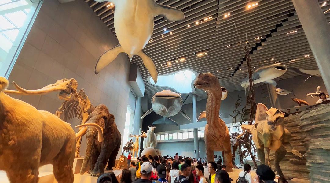 上海自然博物馆隐藏打卡,探秘上海隐秘地