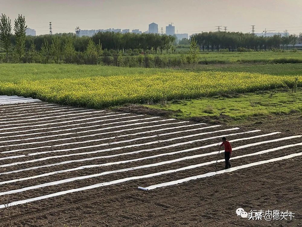 关于照相机的科普,关于照相机的动画