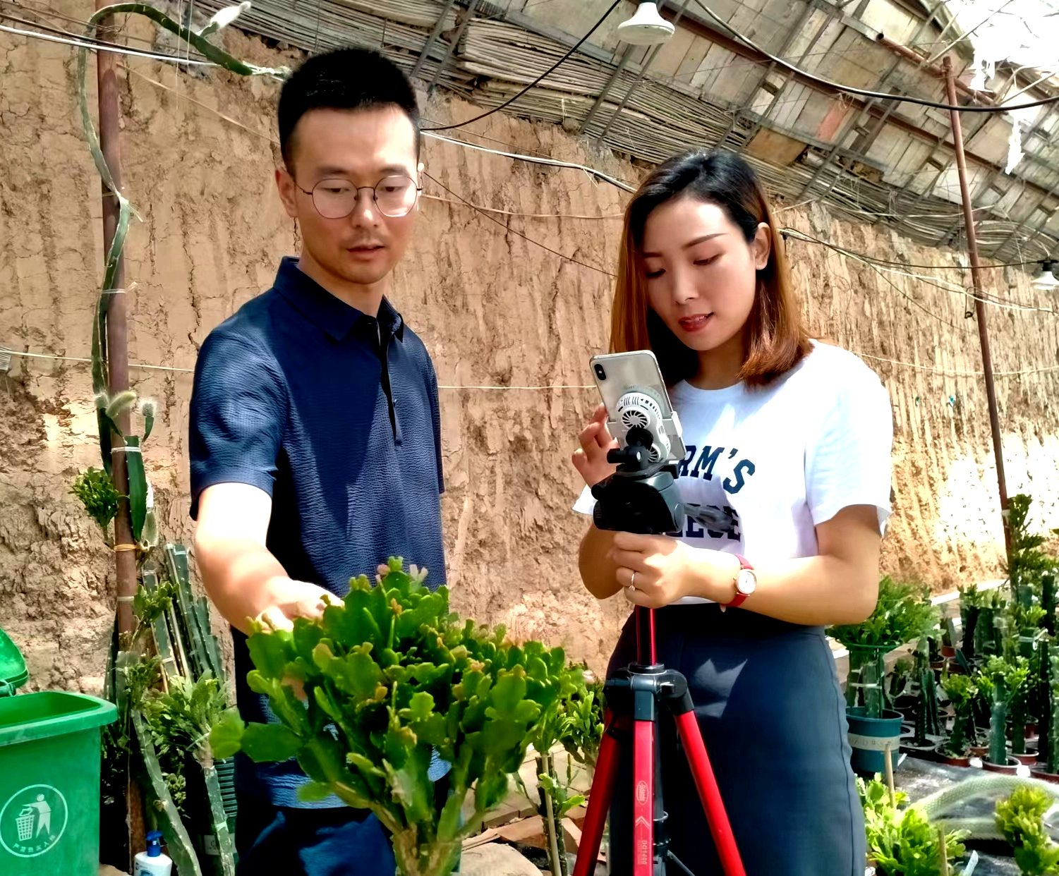 安康农村大学生杨凌创业11年投资特色种植实现人生价值