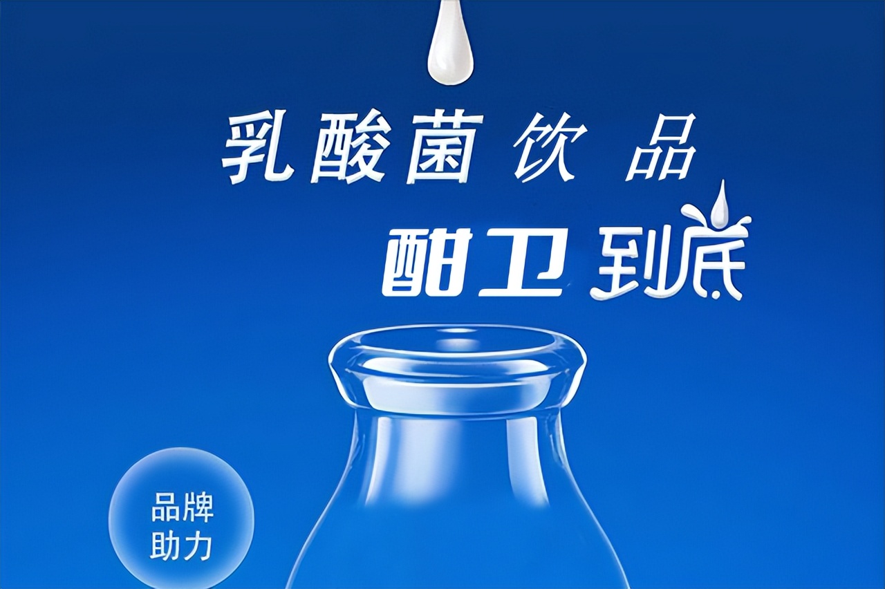 东北酸菜用乳酸菌几天能吃,酸菜里的乳酸菌是怎么样的