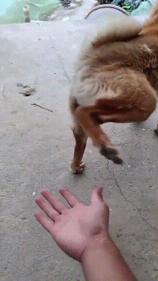 “老婆出差在宾馆给我发照片，桌子上那个是胶水吗？”哈哈哈哈