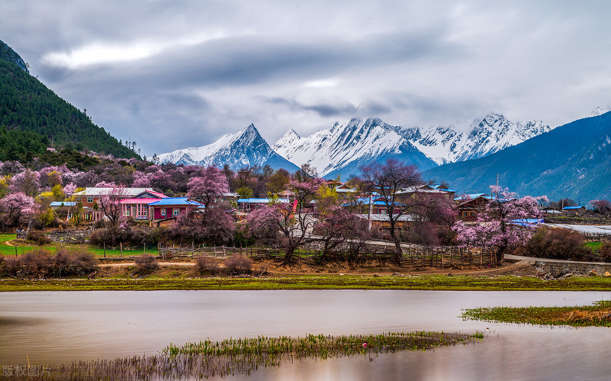 跟团到西北旅游多少钱合适 (江苏省内的旅游团去西藏多少钱)