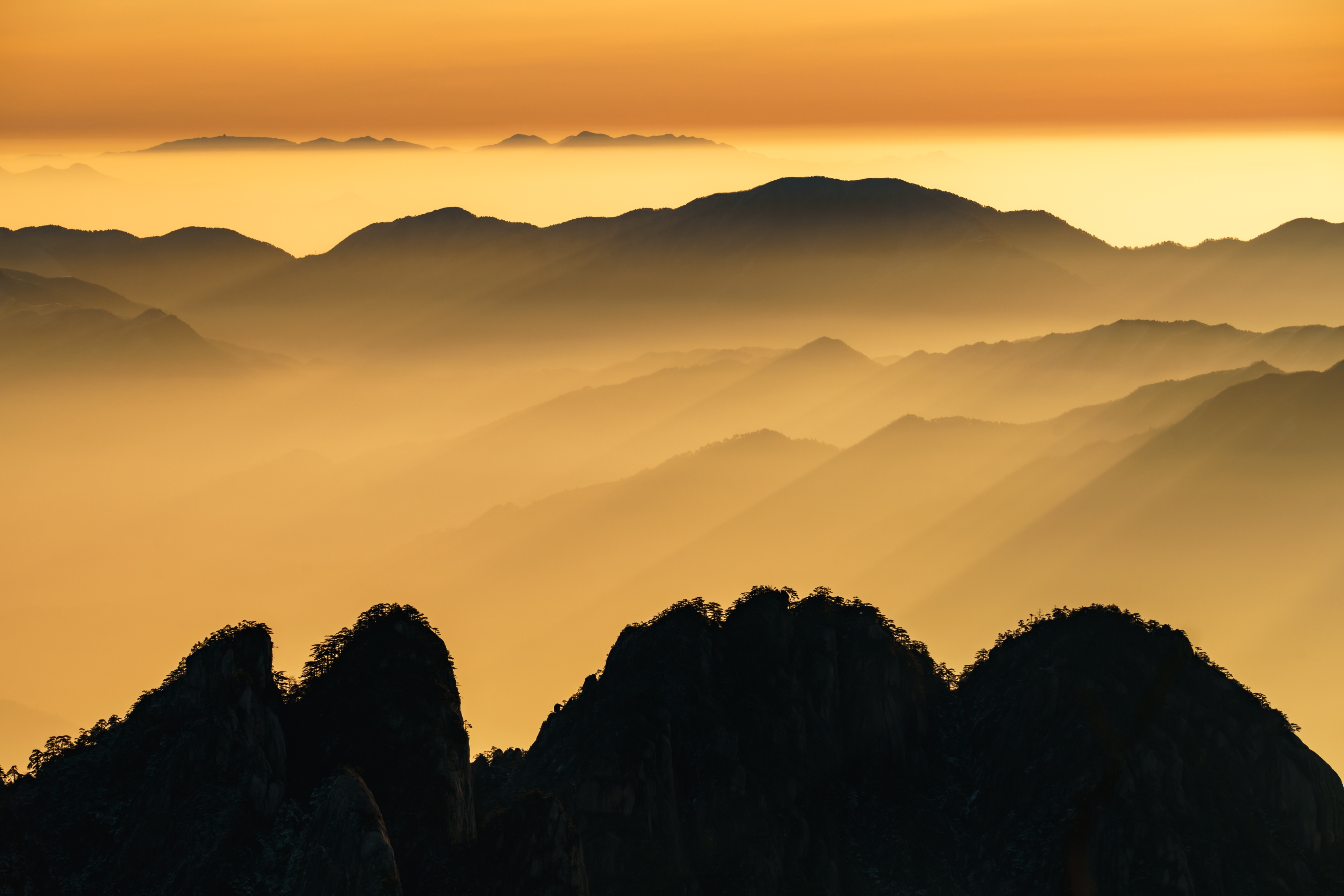 拍野生动物摄影作品,拍动物风景