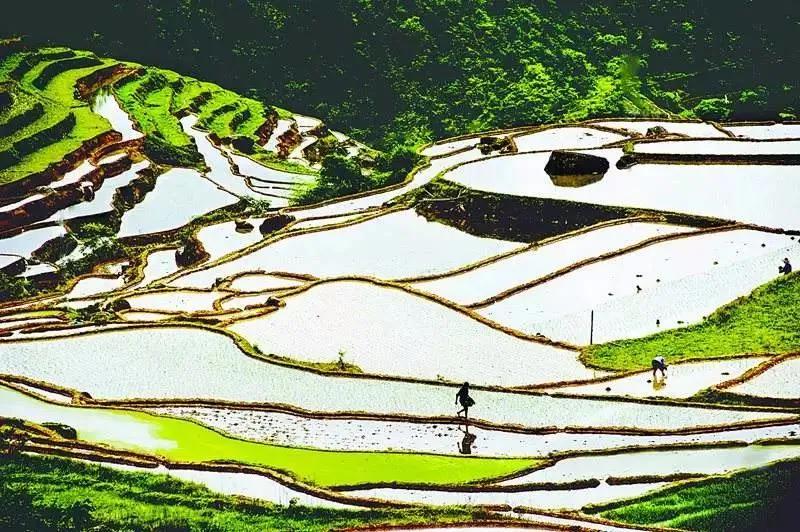 长汀古城最好的地方,长汀县红色小上海