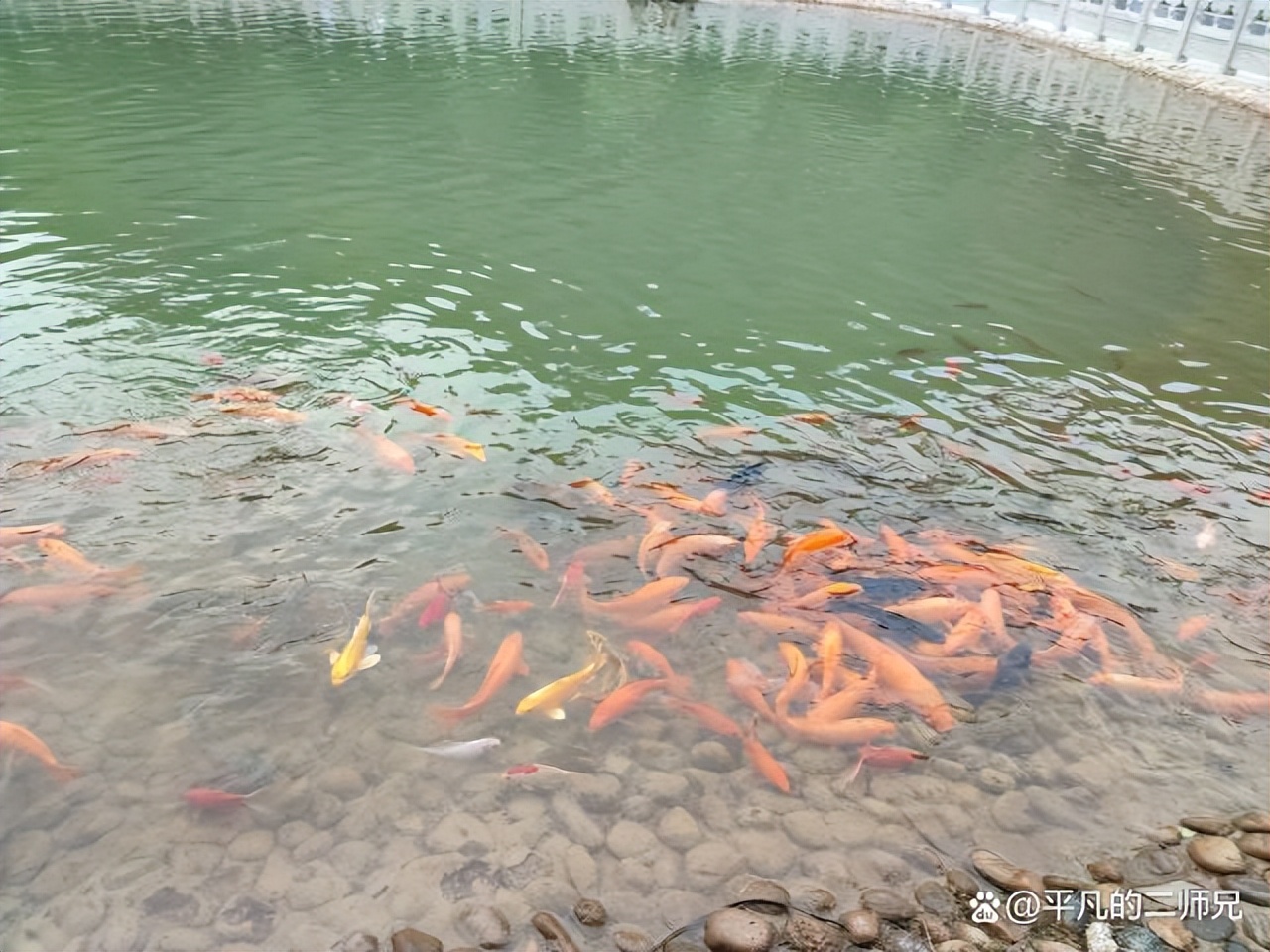 太原一座美丽的城市,感受一下太原这座古城的魅力