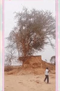 怎么安慰平胸的女孩,女朋友是个平胸怎么办