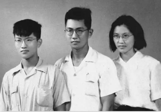 作曲家施光南简历,施光南死后遗孀现状