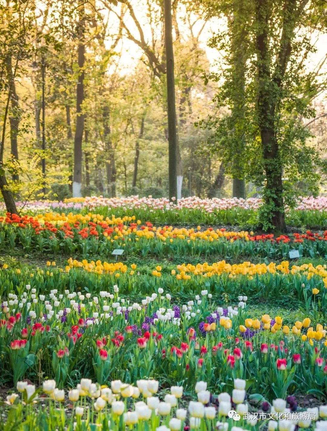 打开这份“小美好”指南，30个免费打卡地大盘点→