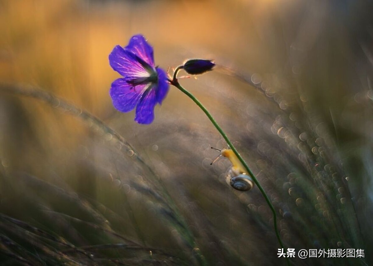 最美的景色秋天照片高清,夏天和秋天的绝美照片