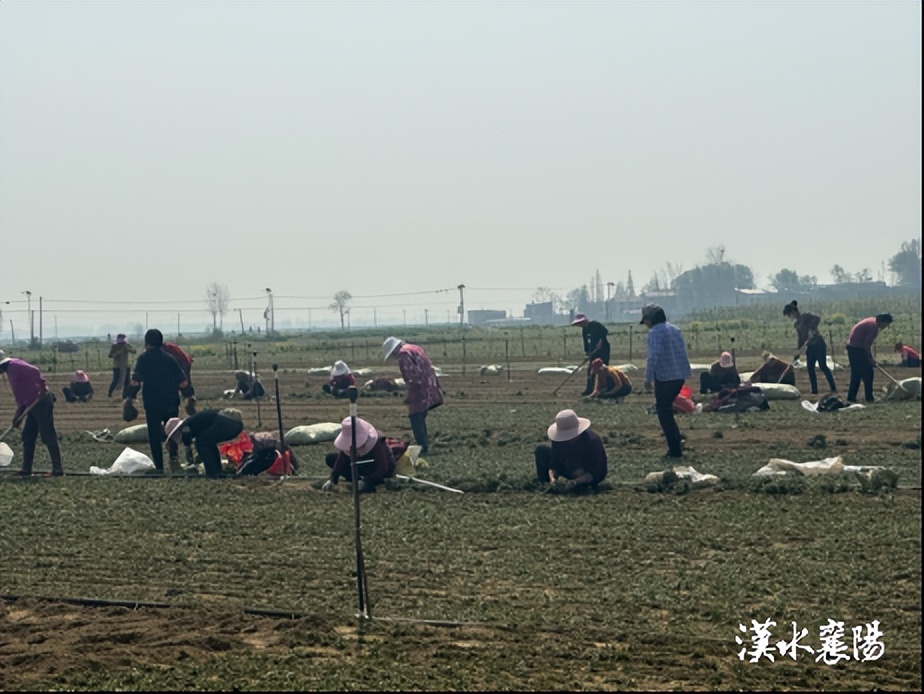 这个乡镇投资1.5亿元做这件事……