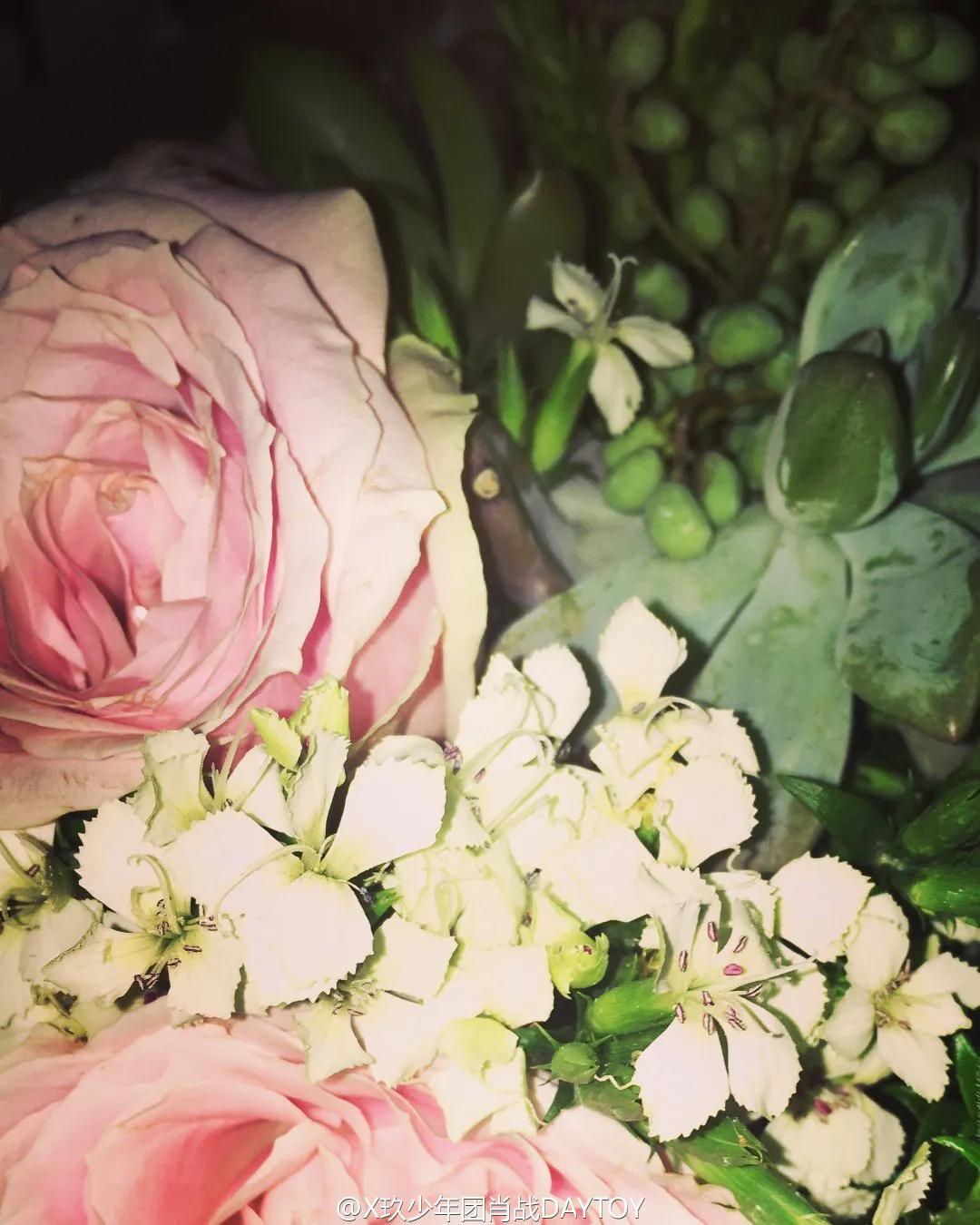 肖战微博上发自己的照片,肖战曾经的微博照片