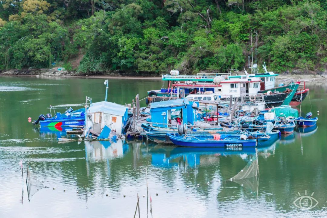 深圳10个小众打卡地免费游玩,深圳十大免费打卡地