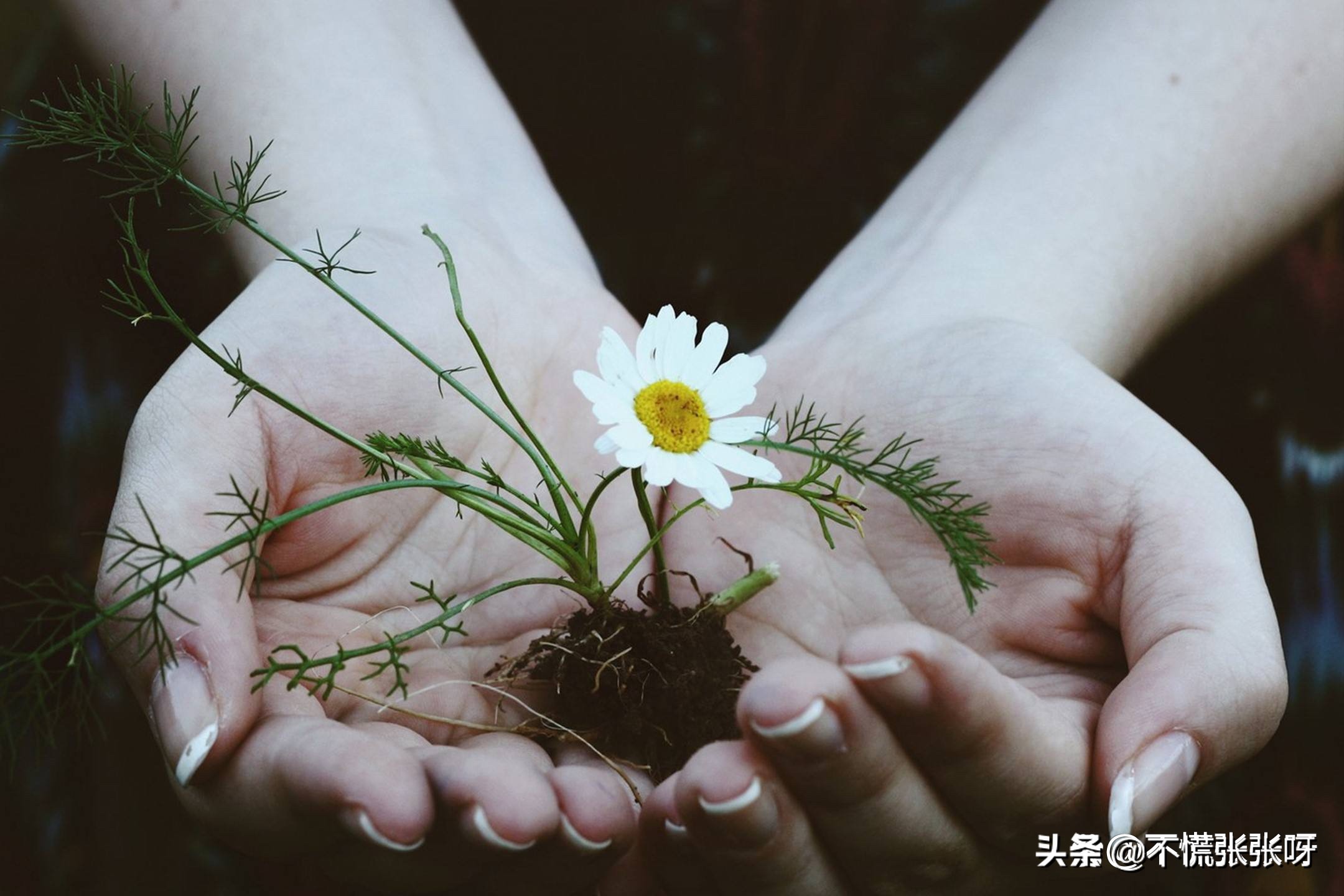 当一个男人放不下一个女人怎么办,为什么一个男人会放不下前任