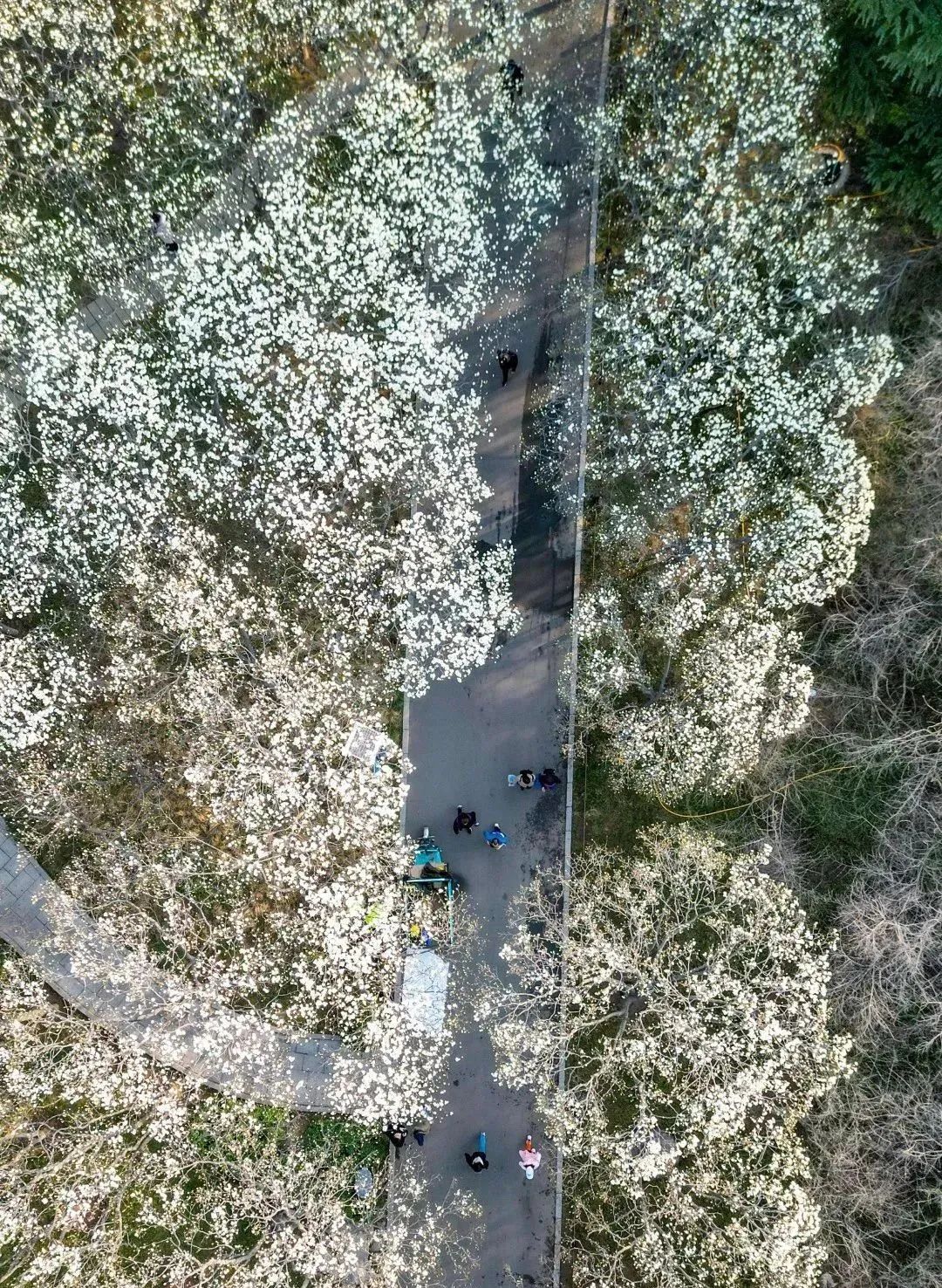 济南最火的几个网红景点打卡,济南网红打卡点景点