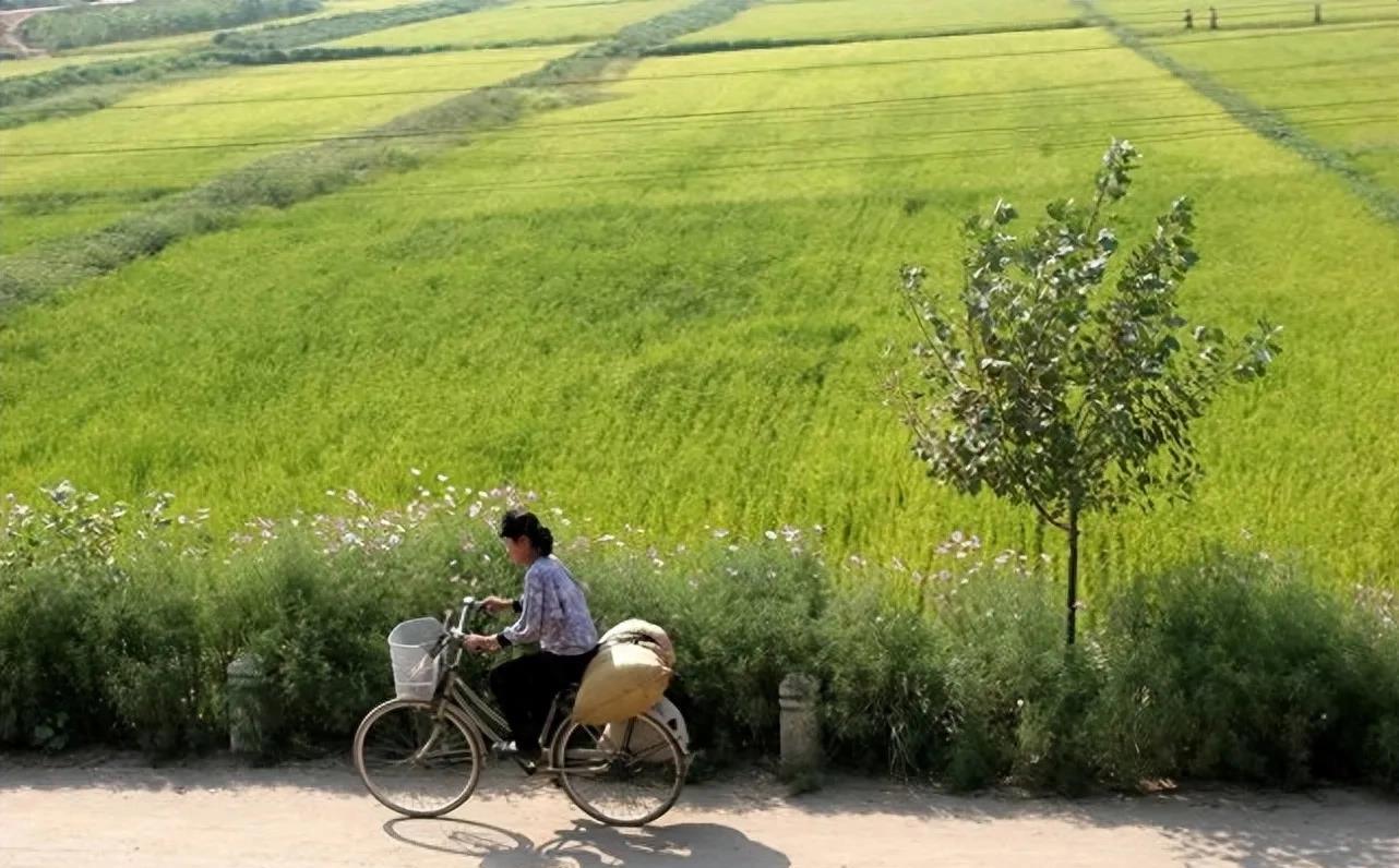 朝鲜之行,朝鲜之行的视频