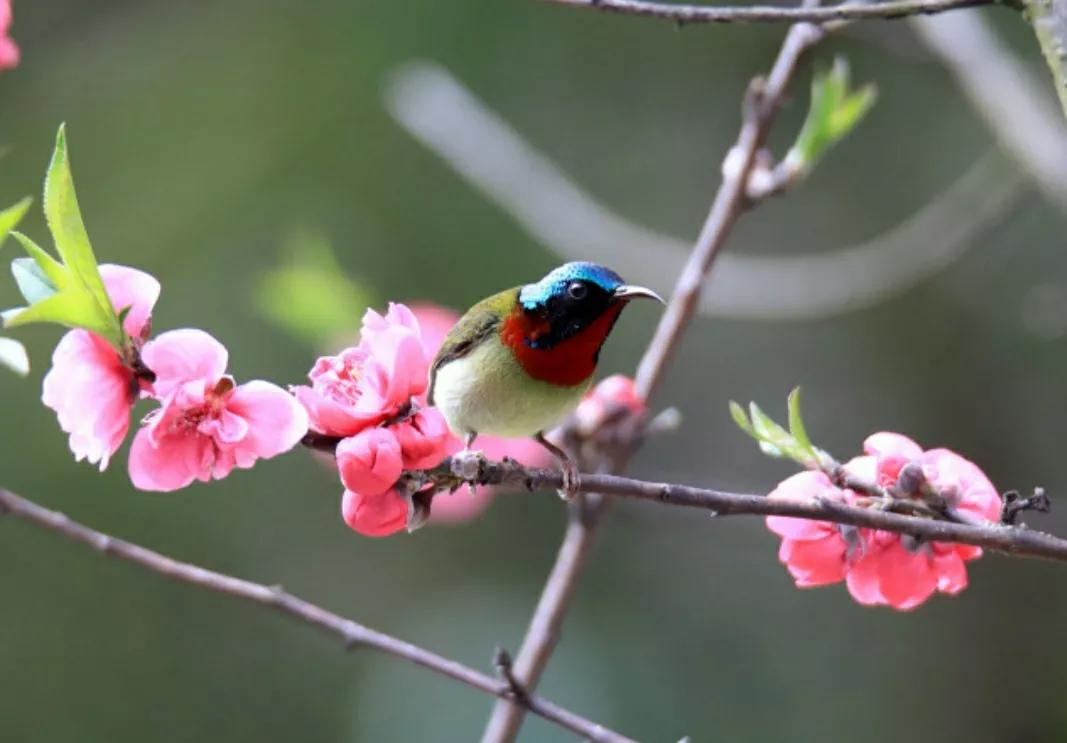 正能量文案短句干净经典励志语录,早安工作励志正能量朋友圈文案