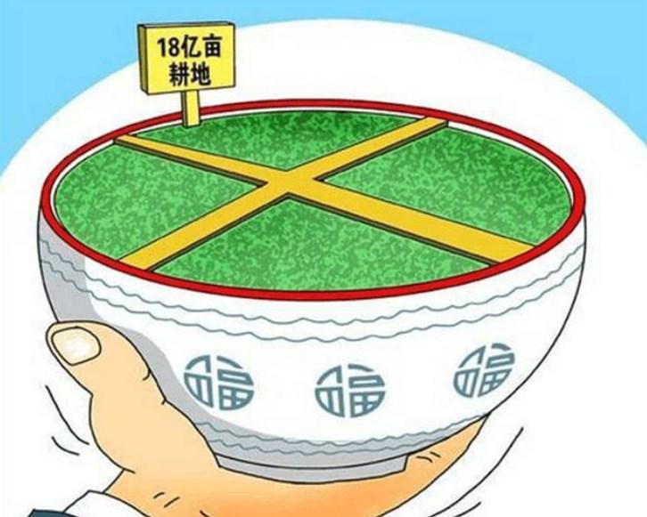 2023年吉林省发放地力补贴了吗,黑龙江省地力补贴2023年发放时间