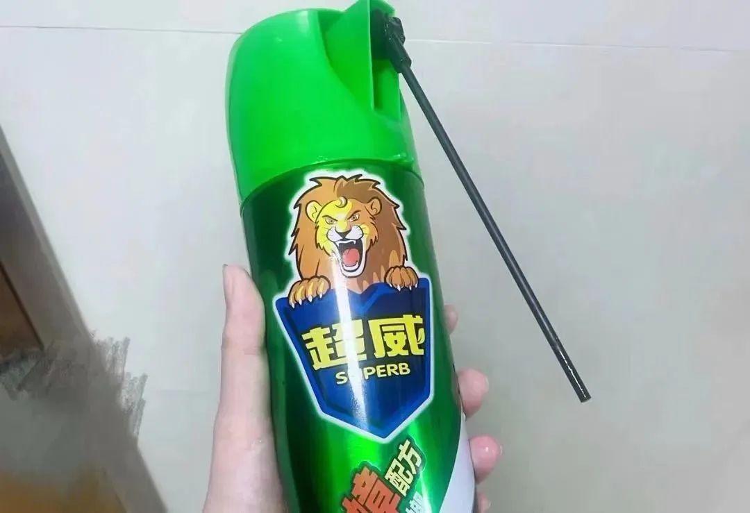 家里蟑螂太多怎么才能根除蟑螂,蟑螂诱饵可以根除蟑螂吗