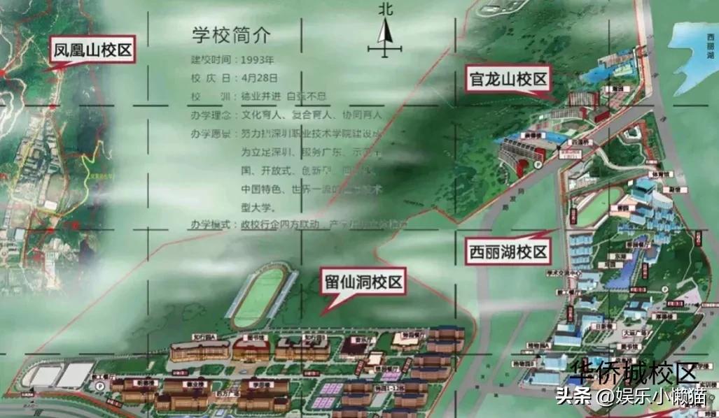 深职是全国最好的大专吗,深职专科排名