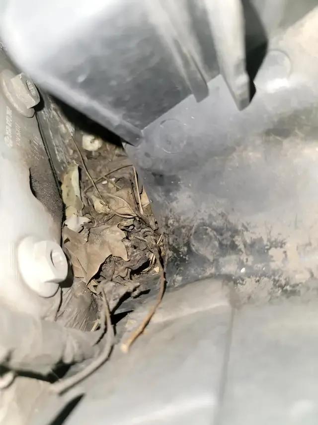 大众迈腾烧机油最佳解决方法,大众迈腾b7烧机油治理