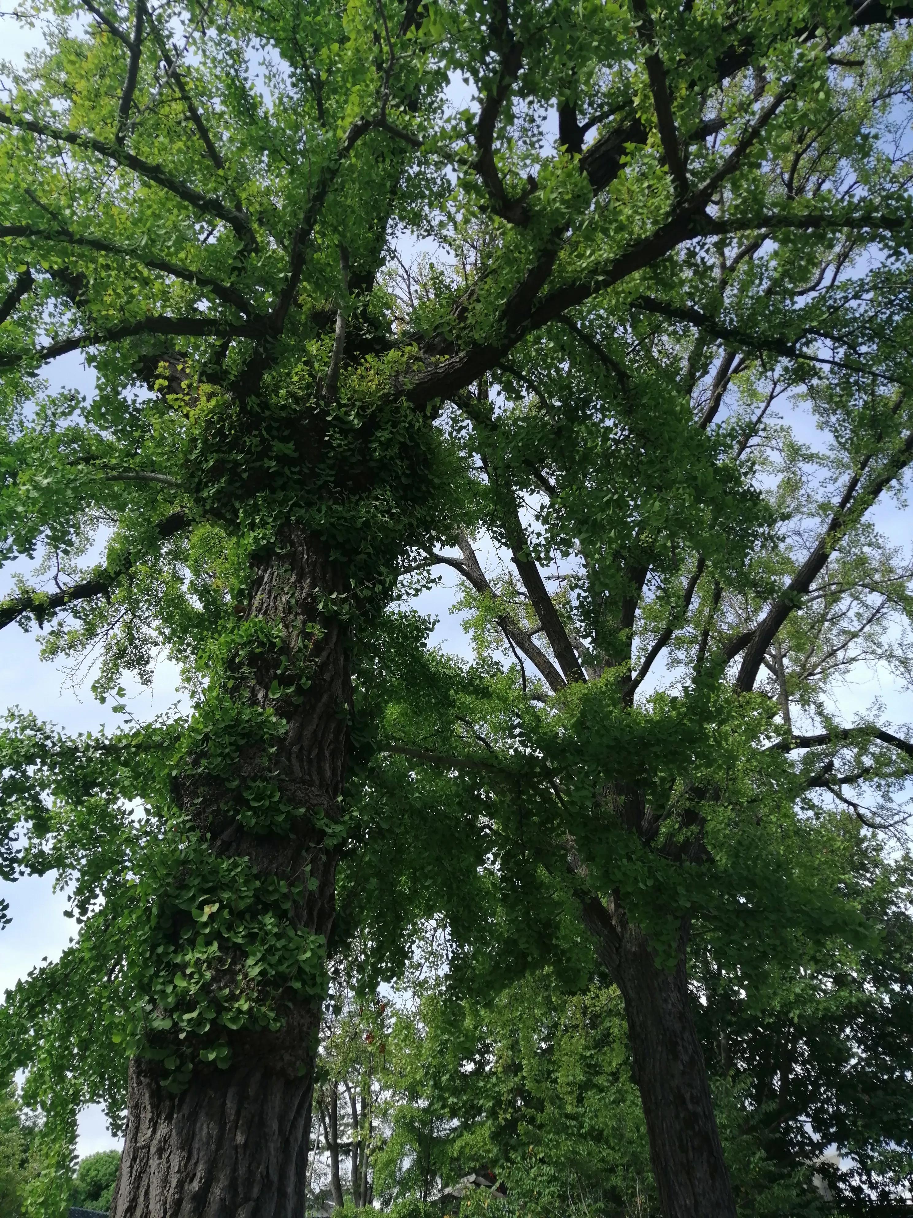 东园好玩的景点推荐,东园旅游景点推荐