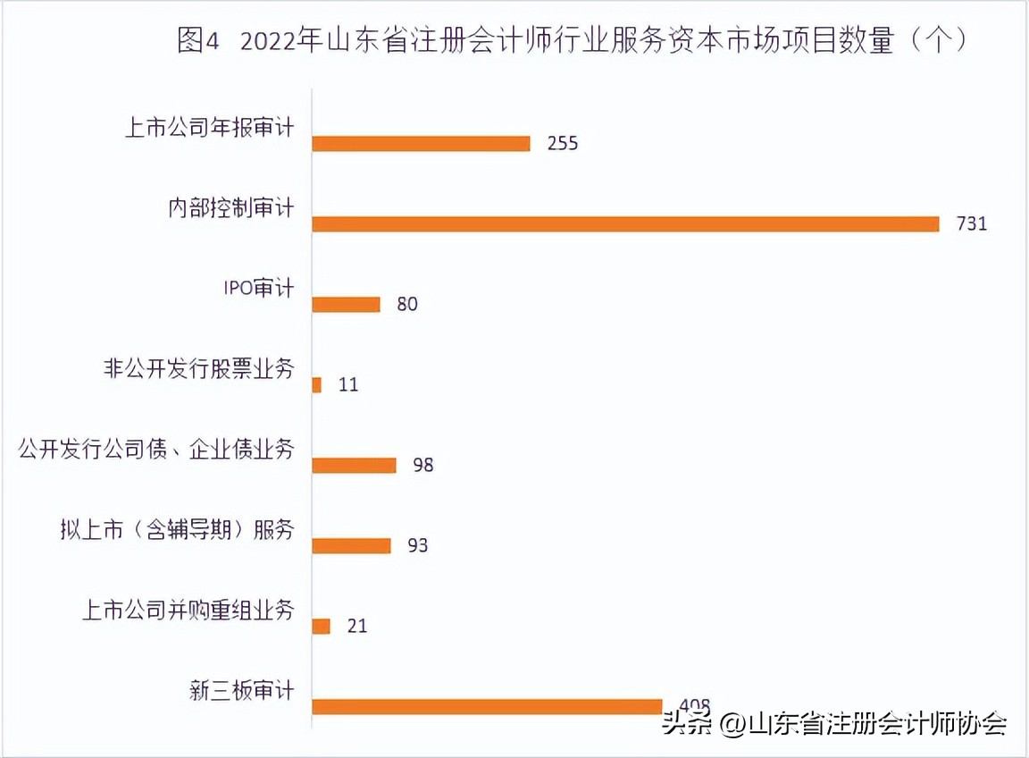 2023年山东省注册会计师,2022年山东注册会计师名单