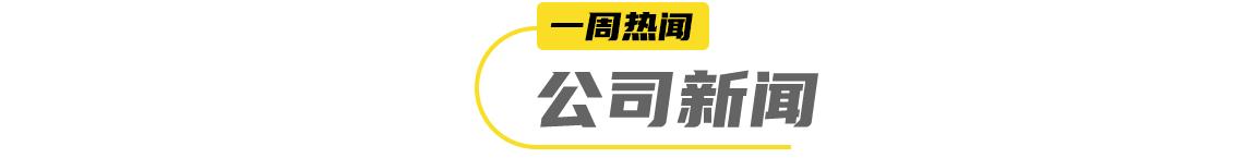 洽洽发布2023年财报,洽洽食品2024年报预测