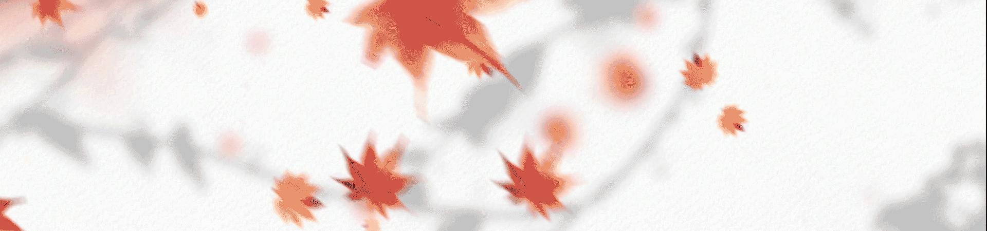 维京时代，少数拥有女性精英阶层的社会形态，女战士、女商人