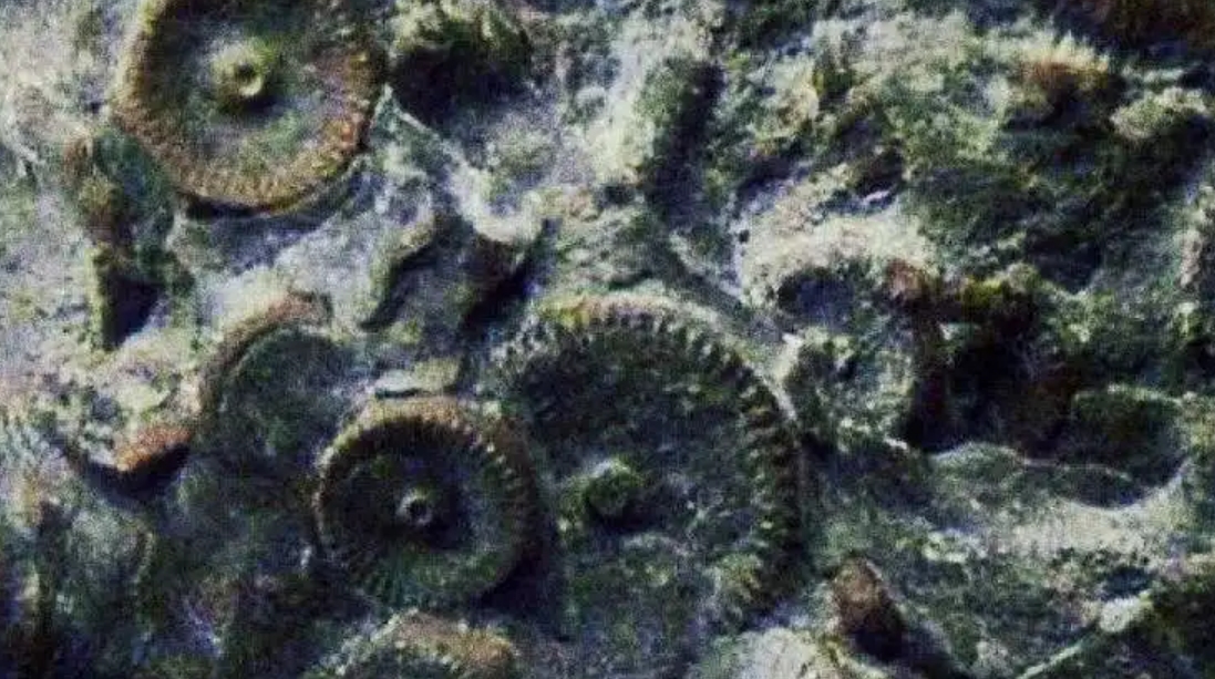 盘点20个细思极恐的科学事实,真相大白揭秘32个伪科学事实