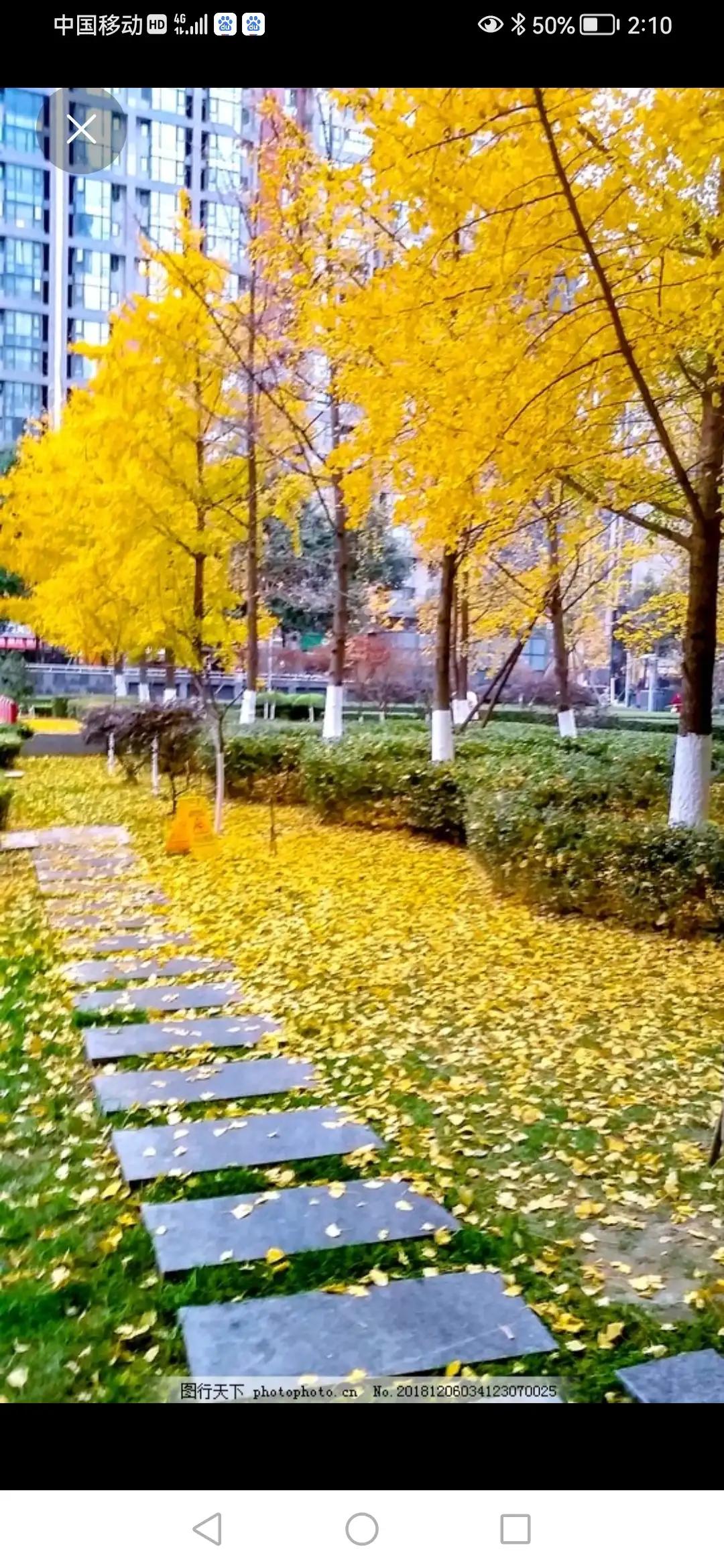 电建的物业,电建物业有哪些