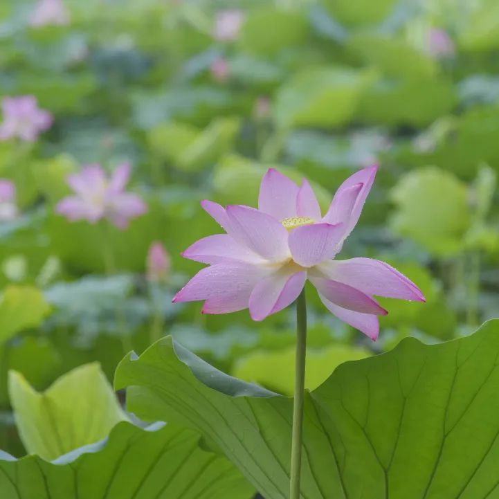 深圳人游玩推荐,深圳人爬山看海