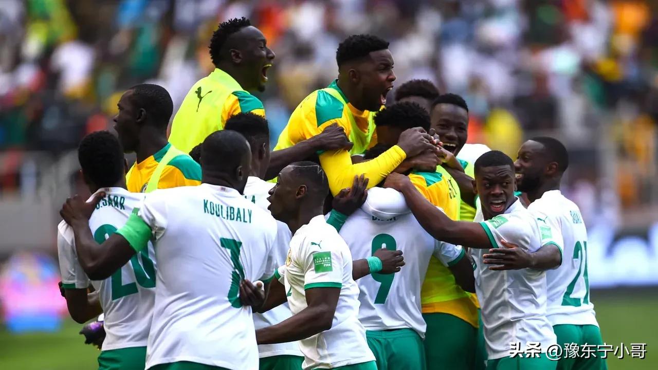 卡塔尔世界杯荷兰小组赛比分,卡塔尔世界杯a组出线形势