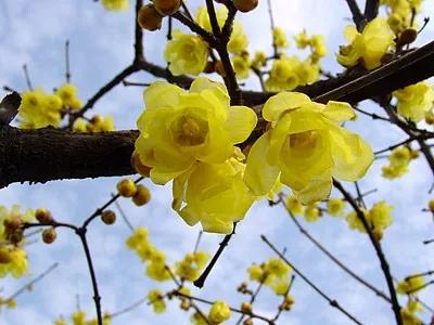 每日一句英语,每日一习