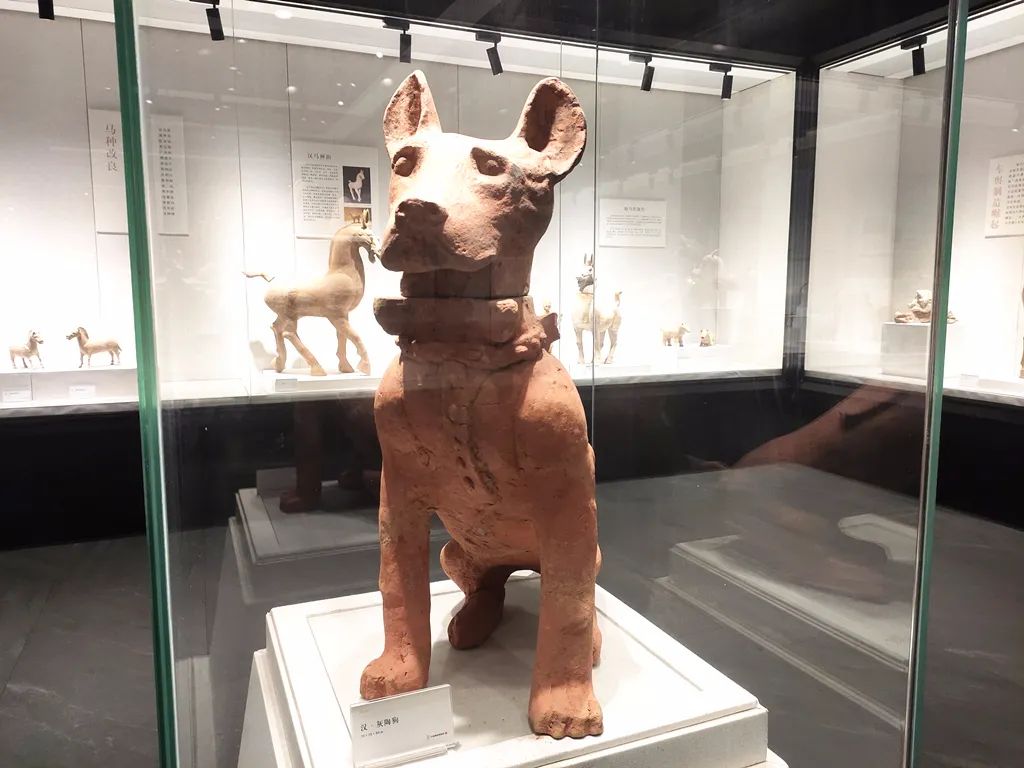 石湾陶瓷博物馆南国陶都的发展史,石湾陶瓷博物馆藏品