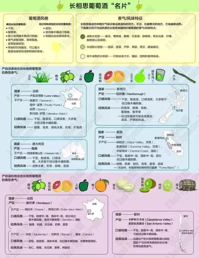 葡萄酒基础知识教程电子版,葡萄酒器具大全