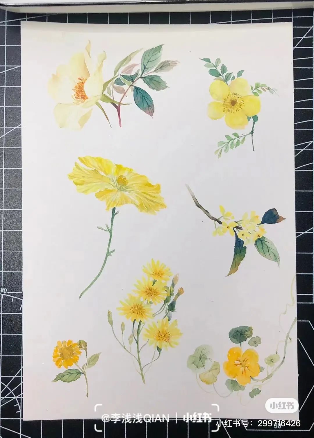 水彩中国风风景简单,古风水彩花卉简单又好看