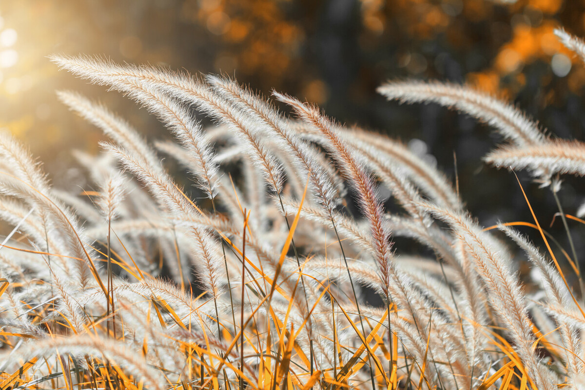 什么叫异性之间相互珍惜,异性之间的真爱