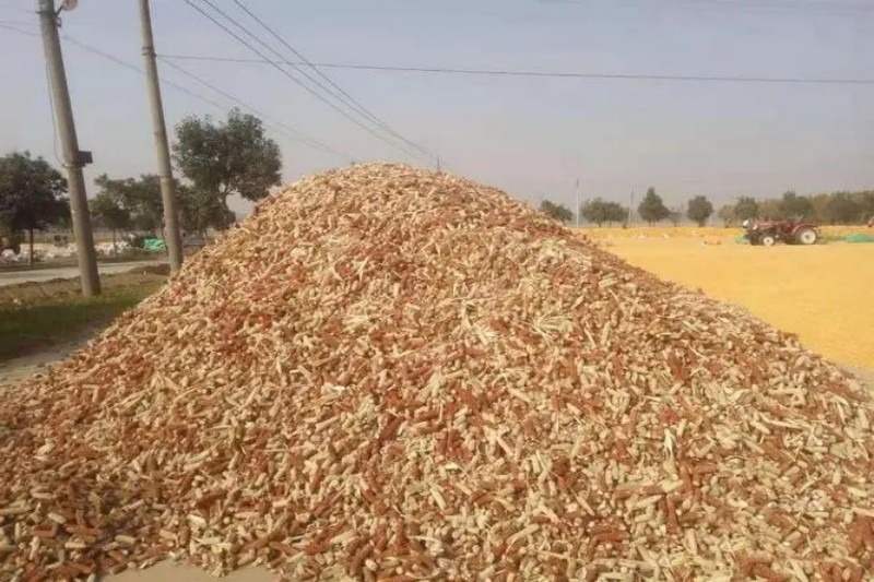 一年赚1000万的小作坊,家庭作坊一年赚了15万