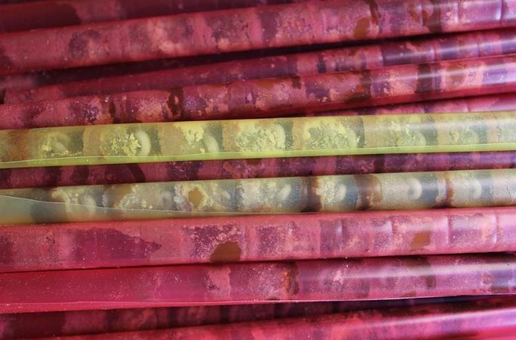 大棚壁蜂授粉,壁蜂授粉的原因和方法