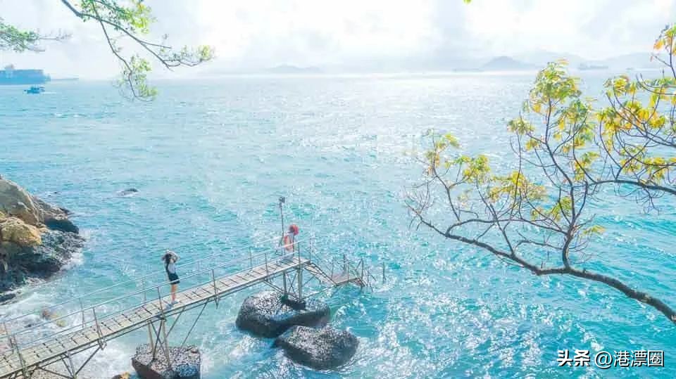 香港住房概况,香港住公寓好还是租房好