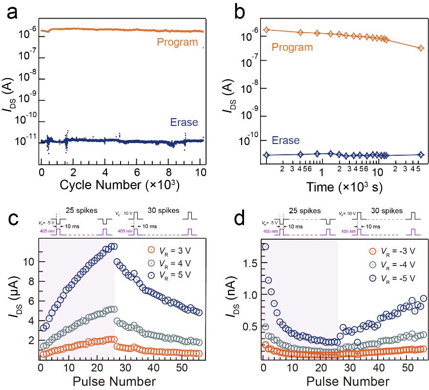南大缪峰教授,缪峰南大