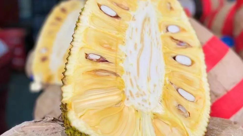 水果店都是从哪里进货的,水果店的水果进货渠道都是在哪里