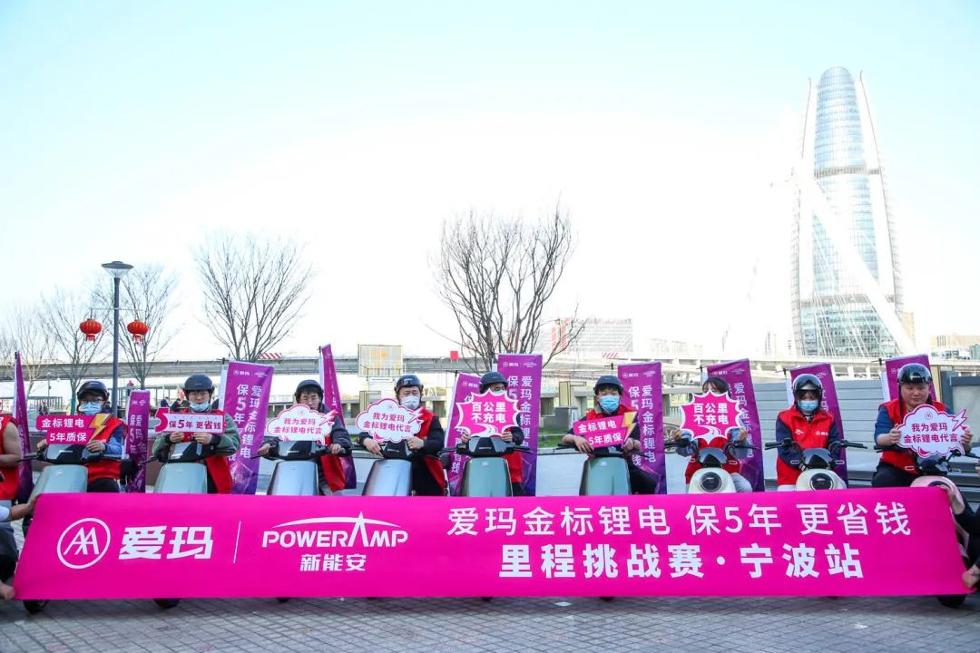 新国标爱玛改款,爱玛高端新国标