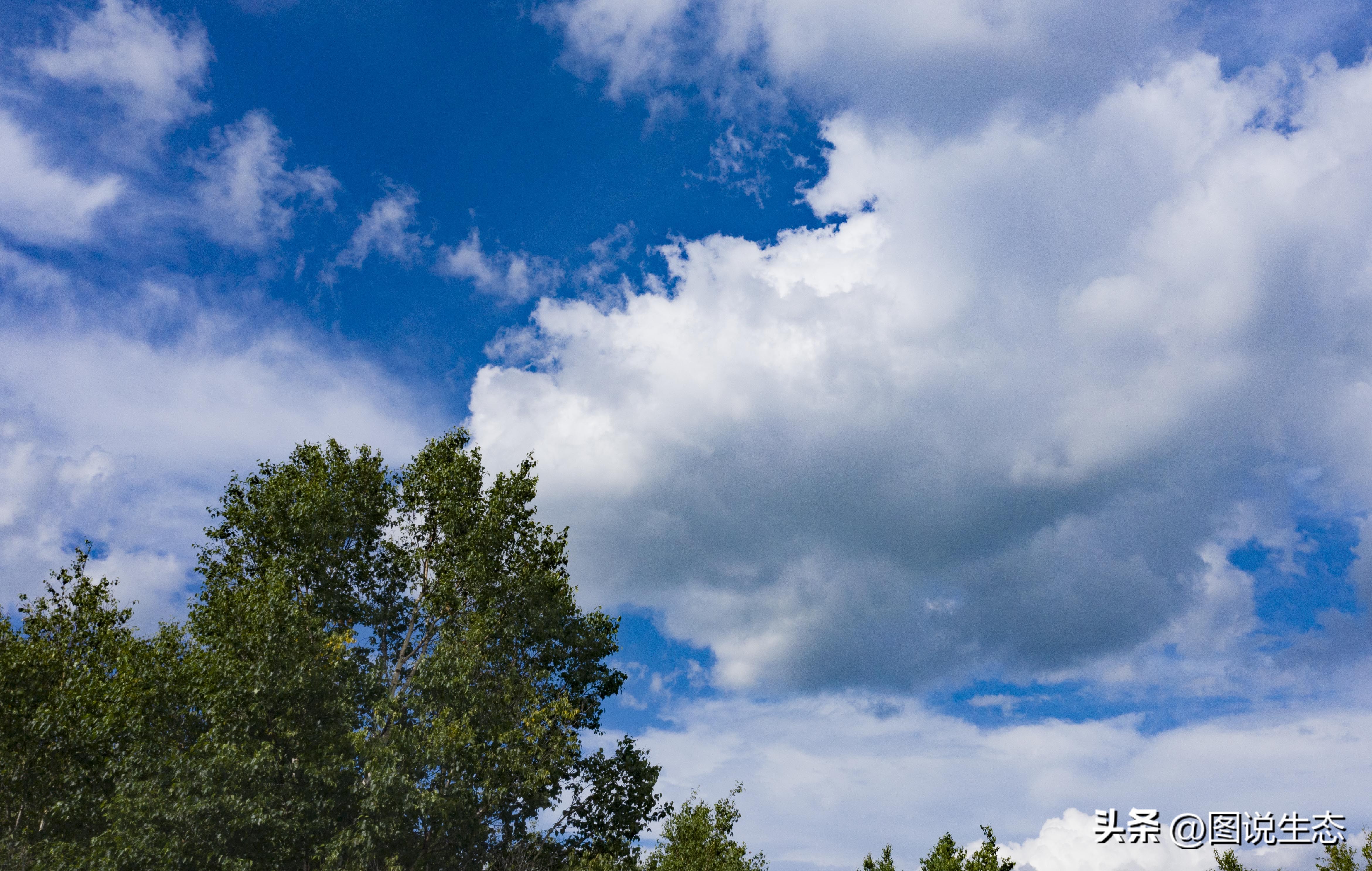 坝上草原游玩的好去处,锡林郭勒大草原和丰宁坝上