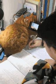 大街上看到的一幕万万想不到,大街上的一幕视频